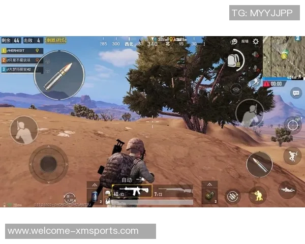 赵敏独家分享和平精英游戏心得与技巧助你轻松上分的秘诀解析